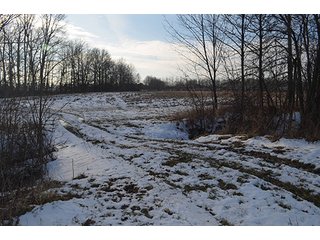 Property photo 41 - FARMLAND AUCTION, 60+/- Acres in 6 Tracts ranging from 4 to 20 acres & in combinations!